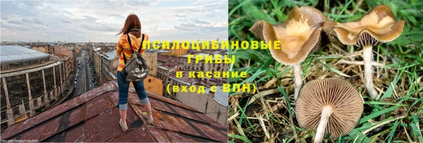 ALPHA-PVP Киреевск